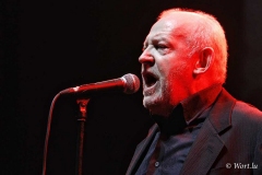 Joe Cocker